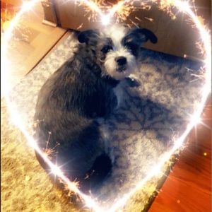 Meet your Posher, Mary